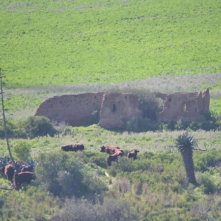 Old Sam'S Cottage Bredasdorp Esterno foto