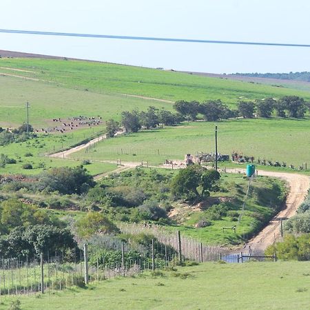 Old Sam'S Cottage Bredasdorp Esterno foto