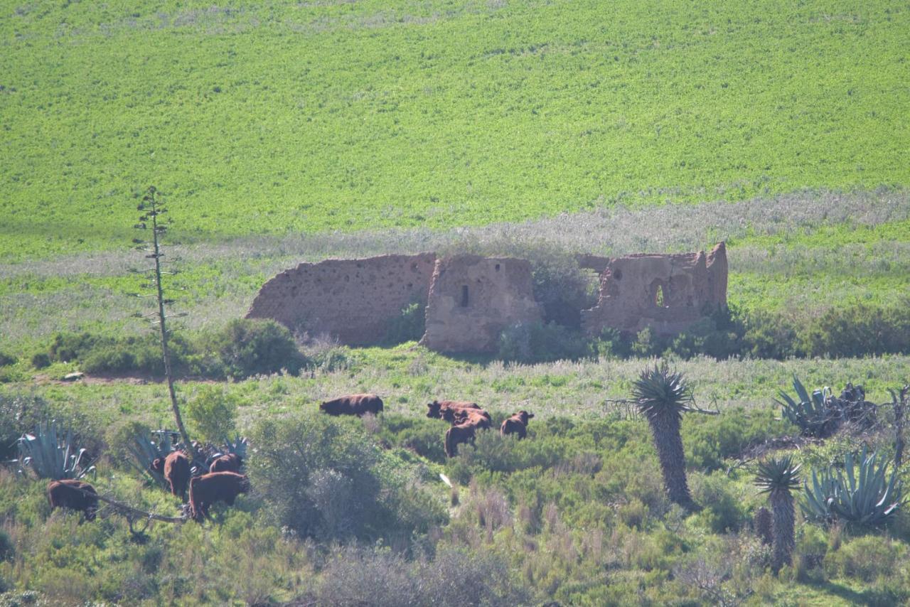 Old Sam'S Cottage Bredasdorp Esterno foto